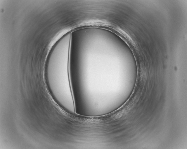 X0000087741277200705070917