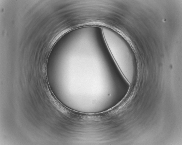 X0000087741281200705070917