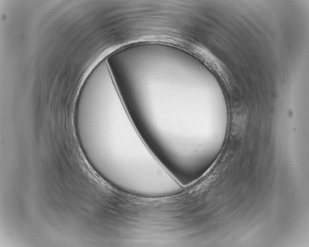 X0000087741284200705070917