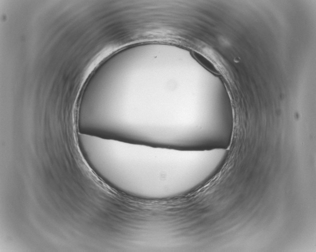 X0000087741291200705070917