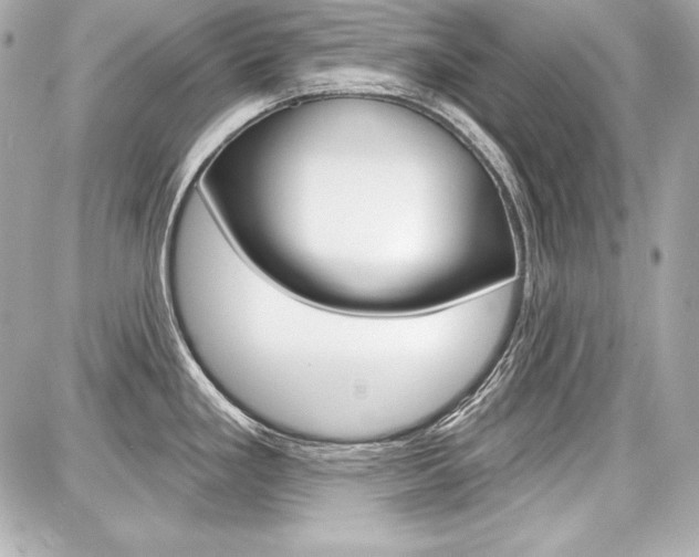 X0000087741293200705070917