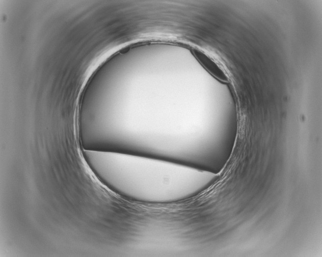 X0000087741295200705070917