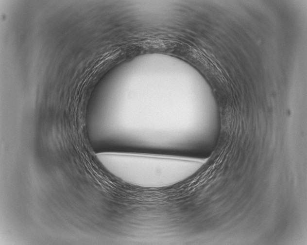 X0000087741297200705070916
