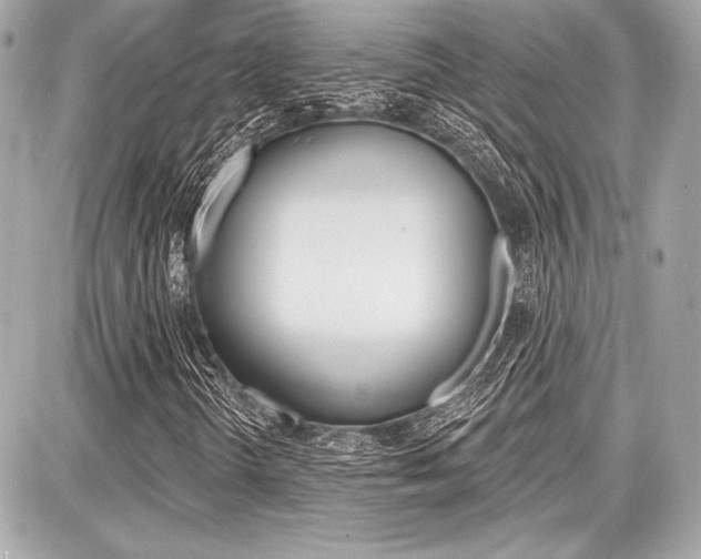 X0000087741298200705070916