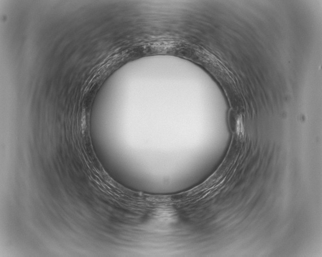X0000087741299200705070916