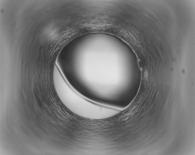 X0000087741300200705070916