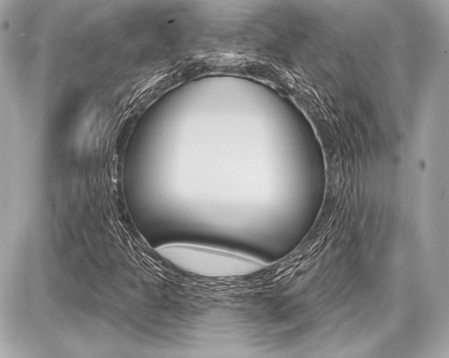 X0000087741301200705070916