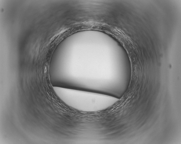 X0000087741302200705070916
