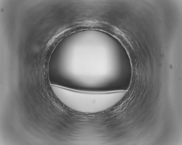 X0000087741304200705070916