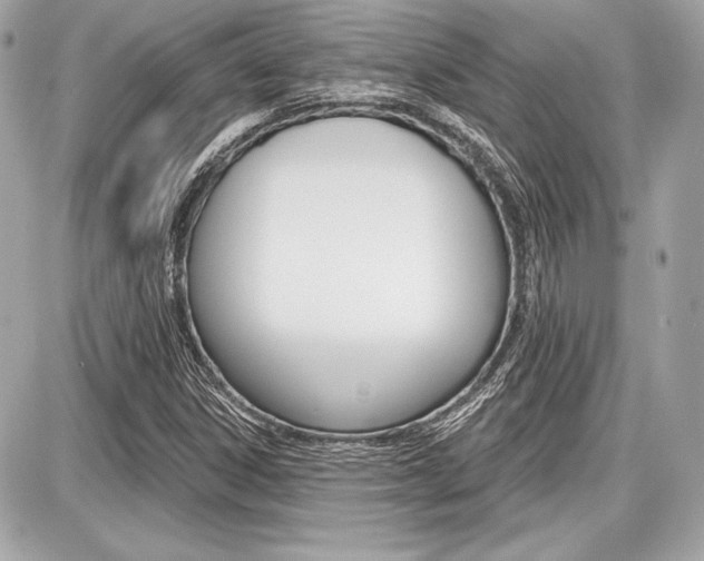 X0000087741306200705070916