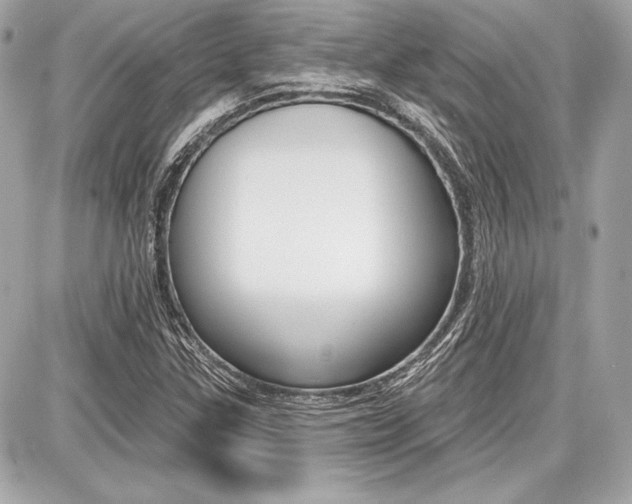 X0000087741307200705070916