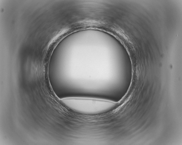 X0000087741309200705070916