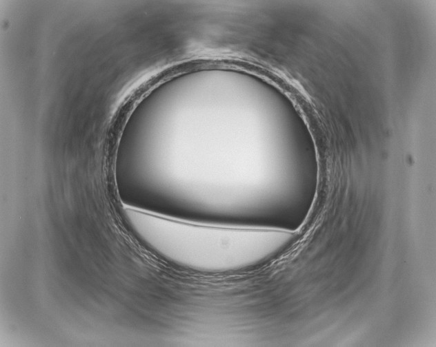X0000087741311200705070916