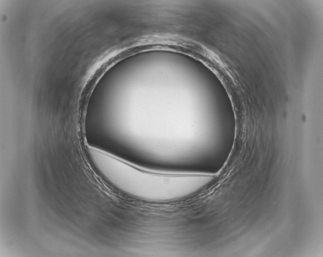 X0000087741312200705070916