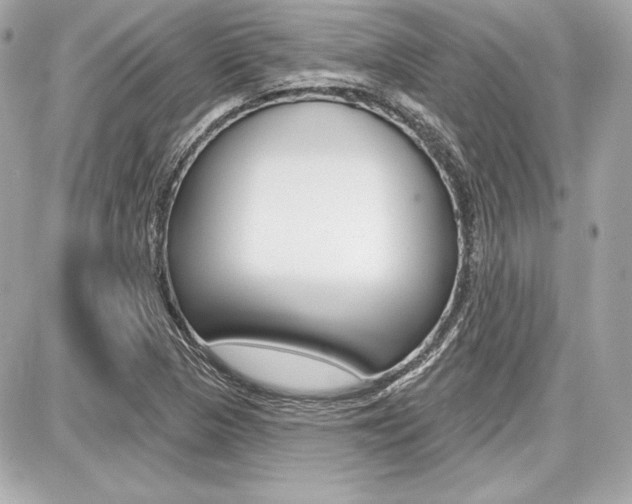 X0000087741313200705070916