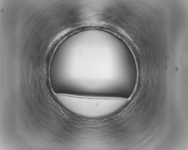 X0000087741315200705070916
