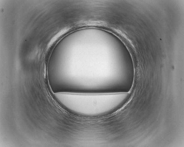 X0000087741317200705070916