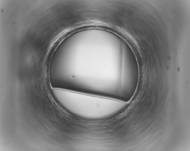 X0000087741318200705070916
