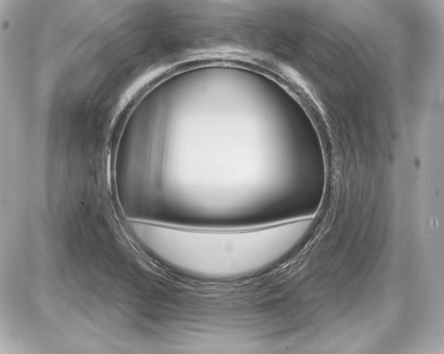 X0000087741320200705070917