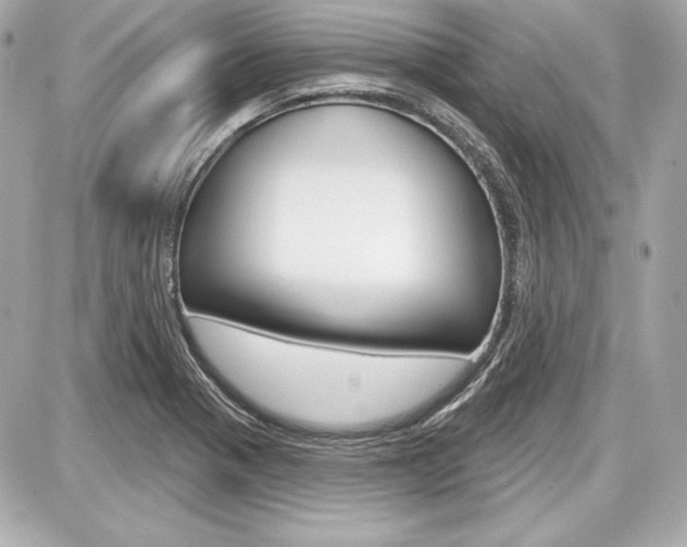 X0000087741321200705070917