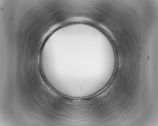 X0000087741322200705070917