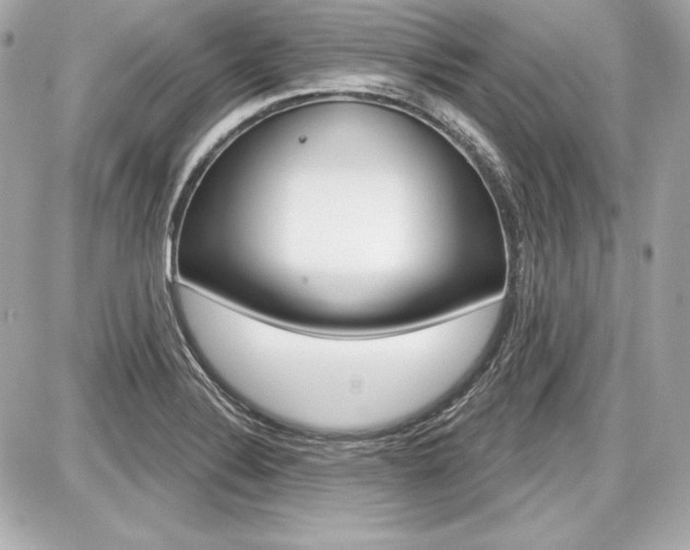 X0000087741324200705070917