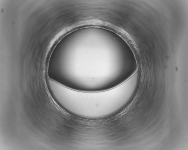 X0000087741326200705070917