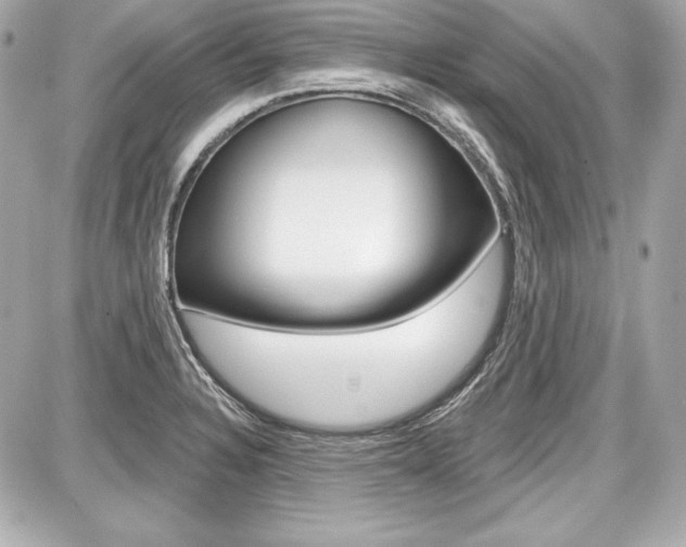 X0000087741328200705070917