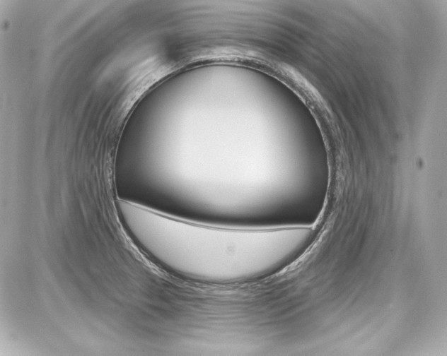 X0000087741329200705070917