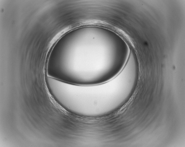 X0000087741330200705070917