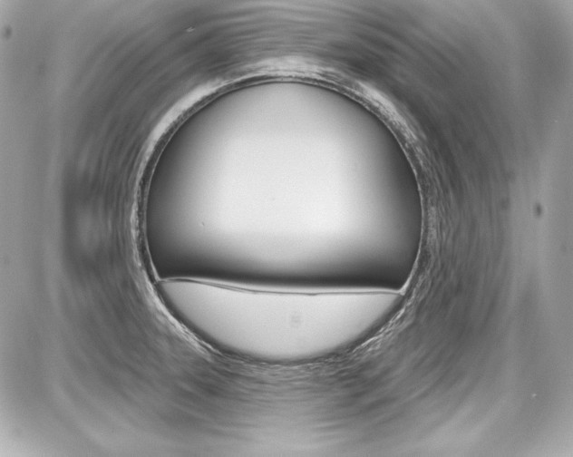 X0000087741331200705070917