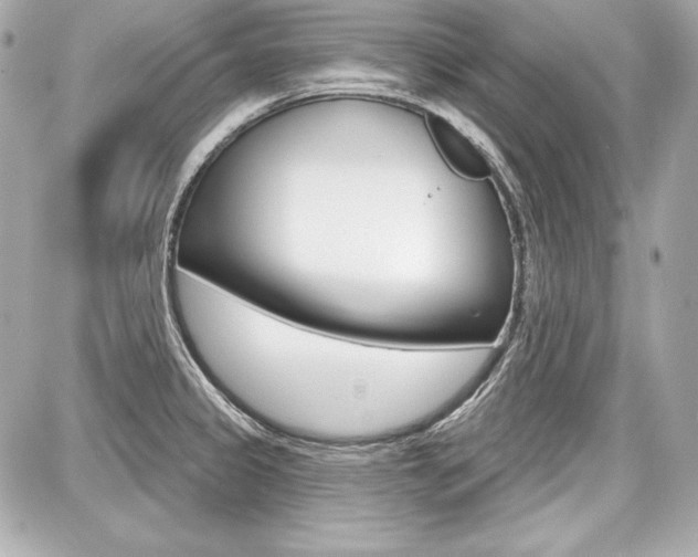 X0000087741333200705070917