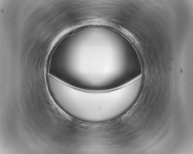 X0000087741334200705070917