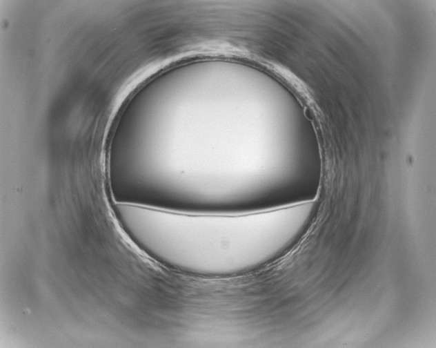 X0000087741335200705070917