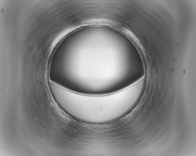 X0000087741336200705070917