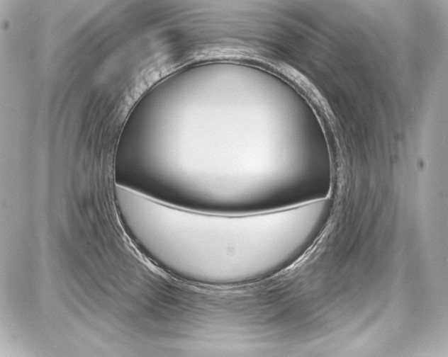 X0000087741337200705070917