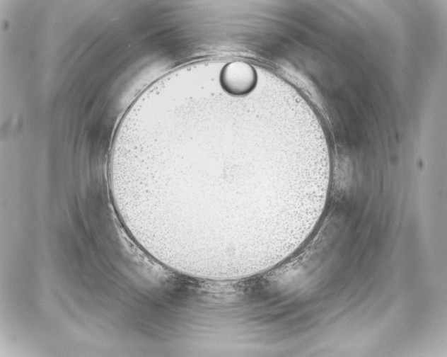 X0000087741338200705070917