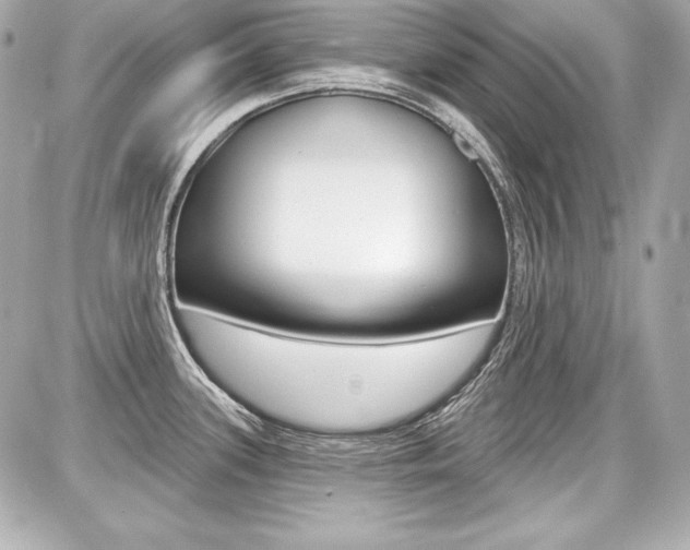X0000087741339200705070917