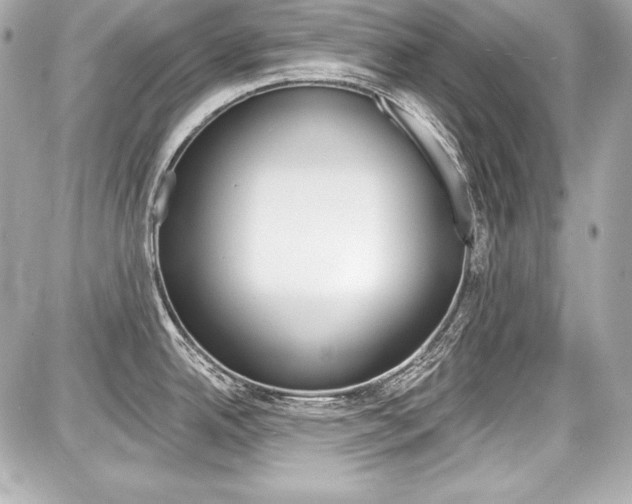 X0000087741342200705070917