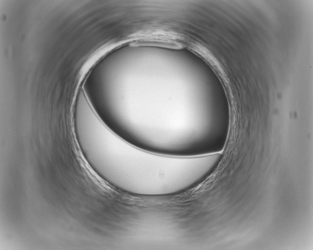 X0000087741344200705070917