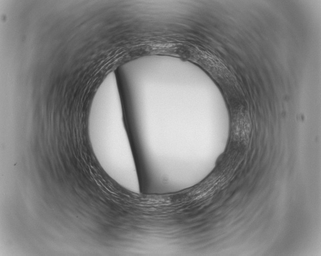 X0000087741346200705070916