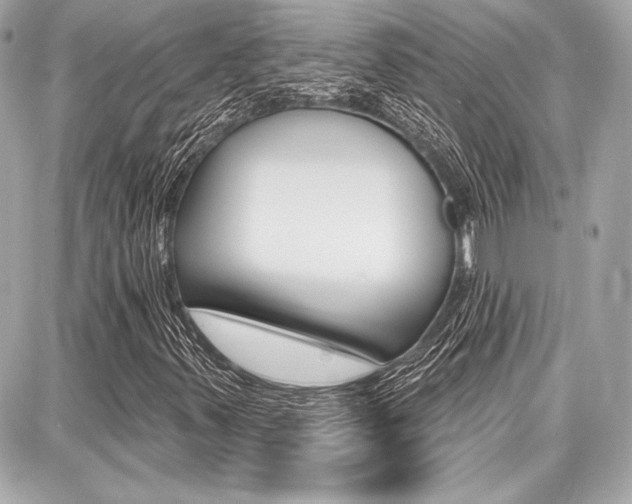 X0000087741347200705070916