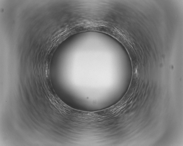 X0000087741348200705070916