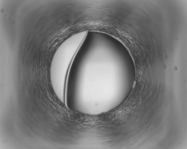 X0000087741349200705070916