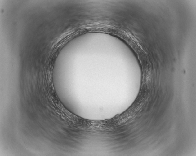 X0000087741350200705070916