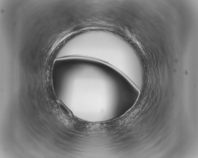 X0000087741352200705070916