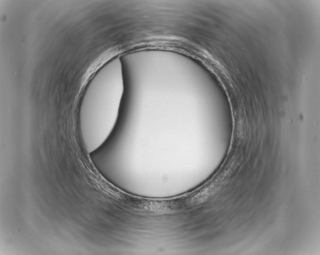 X0000087741362200705070916