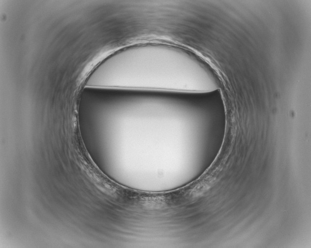 X0000087741363200705070916