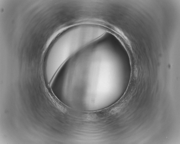 X0000087741368200705070916