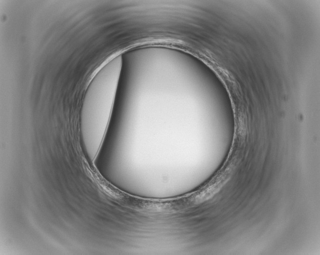 X0000087741369200705070916